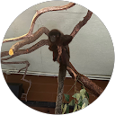 Kevin rogers profile picture
